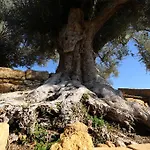 La Lumia & Bed and breakfast Agrigento