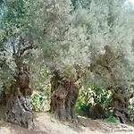 Bed and breakfast La Lumia & Agrigento