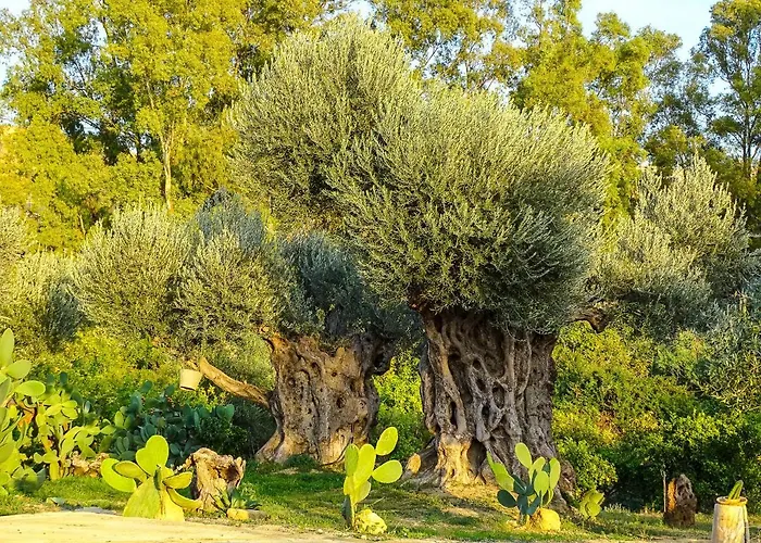 La Lumia & Alojamento de Acomodação e Pequeno-almoço 4*