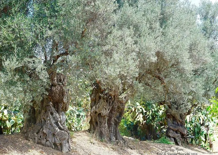 Alojamento de Acomodação e Pequeno-almoço La Lumia & Agrigento